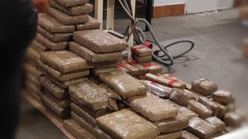 У Яворові оштрафували прикордонника за пропуск 300 кг гашишу без перевірки собакою