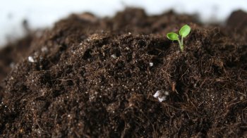 Головного інженера підприємства на Львівщині оштрафували за забруднення землі хімікатами