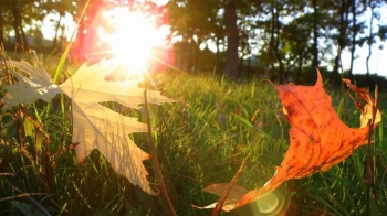 Справжнє бабине літо: на Львівщині в неділю до +29°