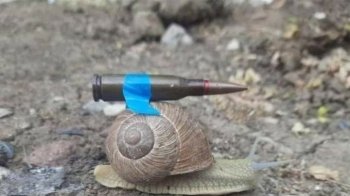 Уряд Німеччини більше двох місяців брехав про постачання зброї в Україну