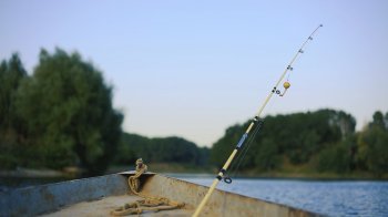 На Дрогобиччині заборонили ловити рибу: причина