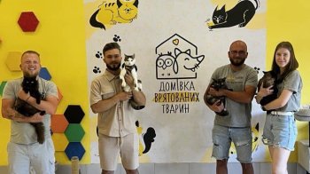 Для "Домівки врятованих тварин" зібрали понад 300 тис. грн на благодійному ярмарку