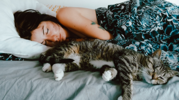 Лише 15% орендодавців Львівщини готові здати квартири людям з домашніми тваринами - дані дослідження