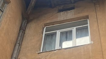 Львів’янин скаржиться на голубів, які руйнують фасад будинку