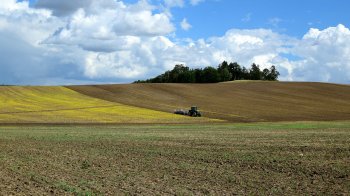 Суд повернув громаді на Львівщині землю вартістю 21 млн грн