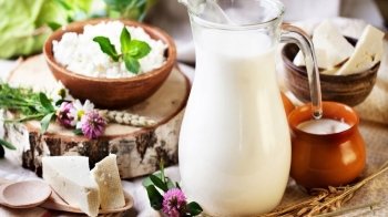 На Львівщині підтвердили випадок бруцельозу