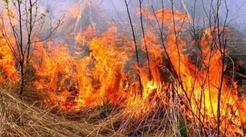 За минулу добу рятувальники Львівщини ліквідували 4 пожежі сухої трави