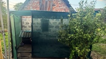 Вівчарка, яку п'яний львів'янин поранив ножем і вилами, померла у ветклініці