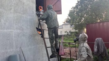 У Дрогоичі рятувальники знешкодили чотири гнізда шершнів за один день