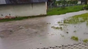 Підтоплені дороги, подвір’я та городи: негода наробила лиха на Дрогобиччині (відео, фото) 