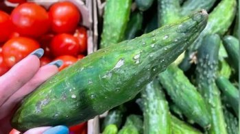 Львівський супермаркет оштрафували на 80 тис грн за продаж огірків з пліснявою