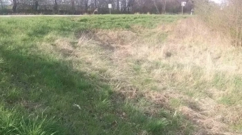 Аграрне підприємство купило за 1,8 млн грн промислову землю в урочищі біля Львова