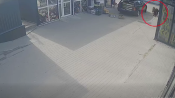 У Львові з авто біля автостанції викрали 90 тис. грн: відео