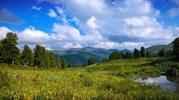 Нове житло для 2 700 переселенців та готовність області до опалювального сезону: головні новини Львівщини за 31 серпня