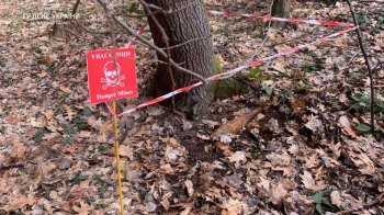 У Самбірському районі на прогулянці в лісі знайшли боєприпас часів Другої світової