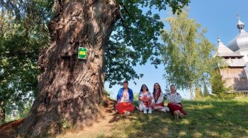 Тисячолітній дуб з Львівщини претендує на титул Європейського дерева року