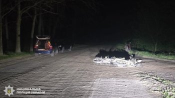 На Львівщині підліток та 31-річний чоловік потрапили до лікарні після зіткнення на мотоциклах
