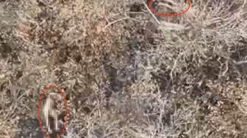 Росіяни розстріляли двох українських захисників на Покровському напрямку