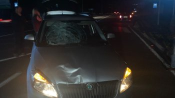 У Львівському районі водій Škoda збив 14-річну дівчинку