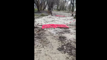 Гаряча лінія Львова