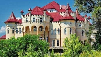 Як живуть у найбагатшому селі України, де кожен дім, як палац (фото)