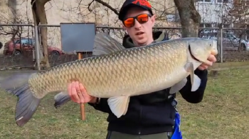 Скриншот зі сторінки Артема Шибанова в TikTok