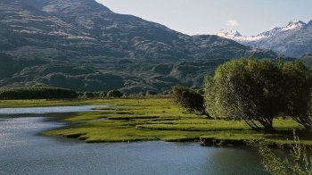 Платять понад 50 тисяч доларів, але претендентів немає: у Новій Зеландії пропонують специфічну вакансію