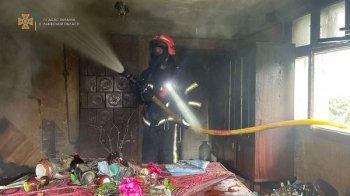 Вогонь ледь не знищив будинок та дві будівлі поруч: рятувальники ліквідували пожежу на Львівщині