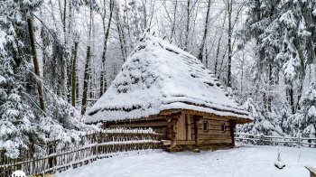 Зима у Шевченківському гаю: краєвиди та події