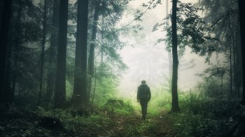 У Закарпатській області заборонили в'їжджати в ліси