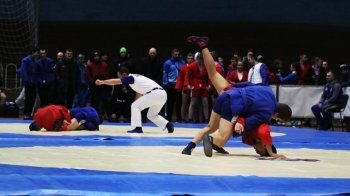 У Львові пройде чемпіонат України із самбо: розклад та місце змагань