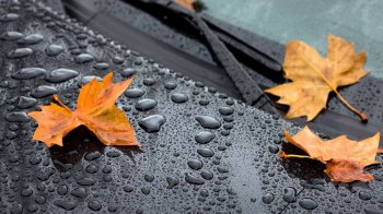 Погода на Львівщині 10 вересня: дощі, грози та до +23°