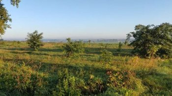 У Львівській громаді продали земельних ділянок на 18,2 млн грн