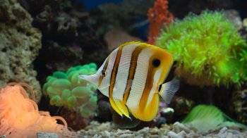 21 квітня: церковні свята, іменинники, прикмети та заборони