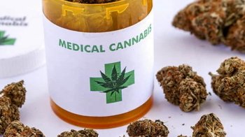 Мінздоров'я просить депутатів ухвалити закон про медичний канабіс