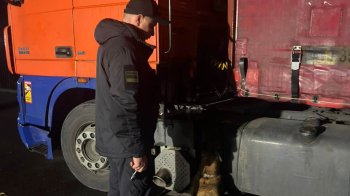 На кордоні з Польщею собака винюхав тютюн без акцизу