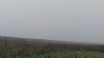 Екологічні інспектори встановлюють власника каналізаційної труби, який зливав нечистоти в річку Думна