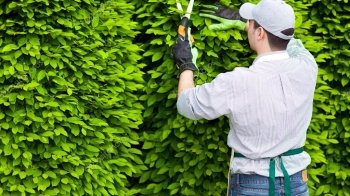 У Львові з’явились вакансії міських садівників: шукають охочих