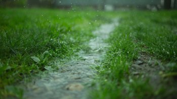 Львів’ян попереджають про сильний вітер та грозу