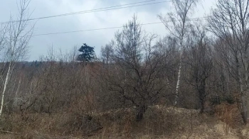 У Сколе за 1,5 млн грн продали землю під туристичну інфраструктуру