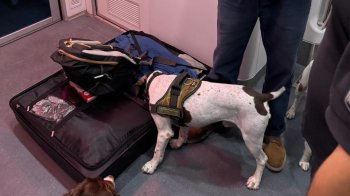 Іноземець з наркотиками