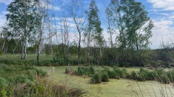 Гаражні кооперативи програли суд за землю заказника “Торфовище Білогорща”