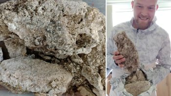 Чоловік стверджує, що знайшов блювоту рідкісних китів вартістю понад 50 тисяч доларів: вчені розчарували його