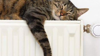 У Львові 16 жовтня розпочинається опалювальний сезон