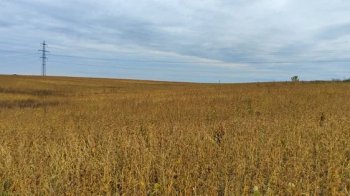 Львівській громаді через суд повернули земельну ділянку