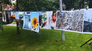 Картина фотохудожника за донат на ЗСУ: у День Конституції у Львові провели благодійну виставку (фото)