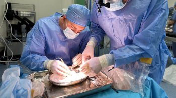 Дівчинці зі Львівщини пересадили нирку від 9-місячного немовляти