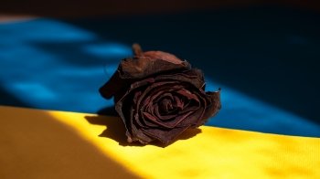 Виконував бойове завдання під Бахмутом: загинув військовий зі Львівщини