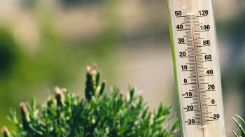 У Львові зафіксували черговий температурний рекорд