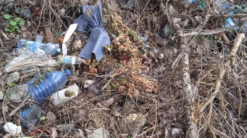 Сміття горами лежить між могилами: львів’яни поскаржились на засмічений Янівський цвинтар